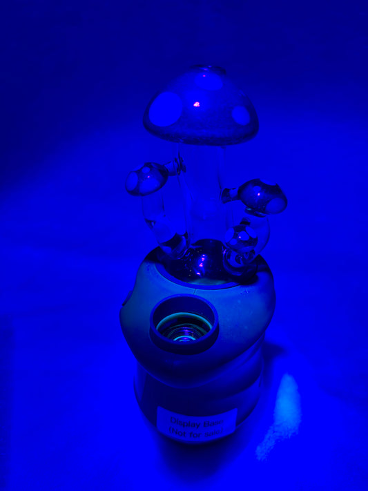 Focus V Carta Dry Top - Clear Mushroom (UV)
