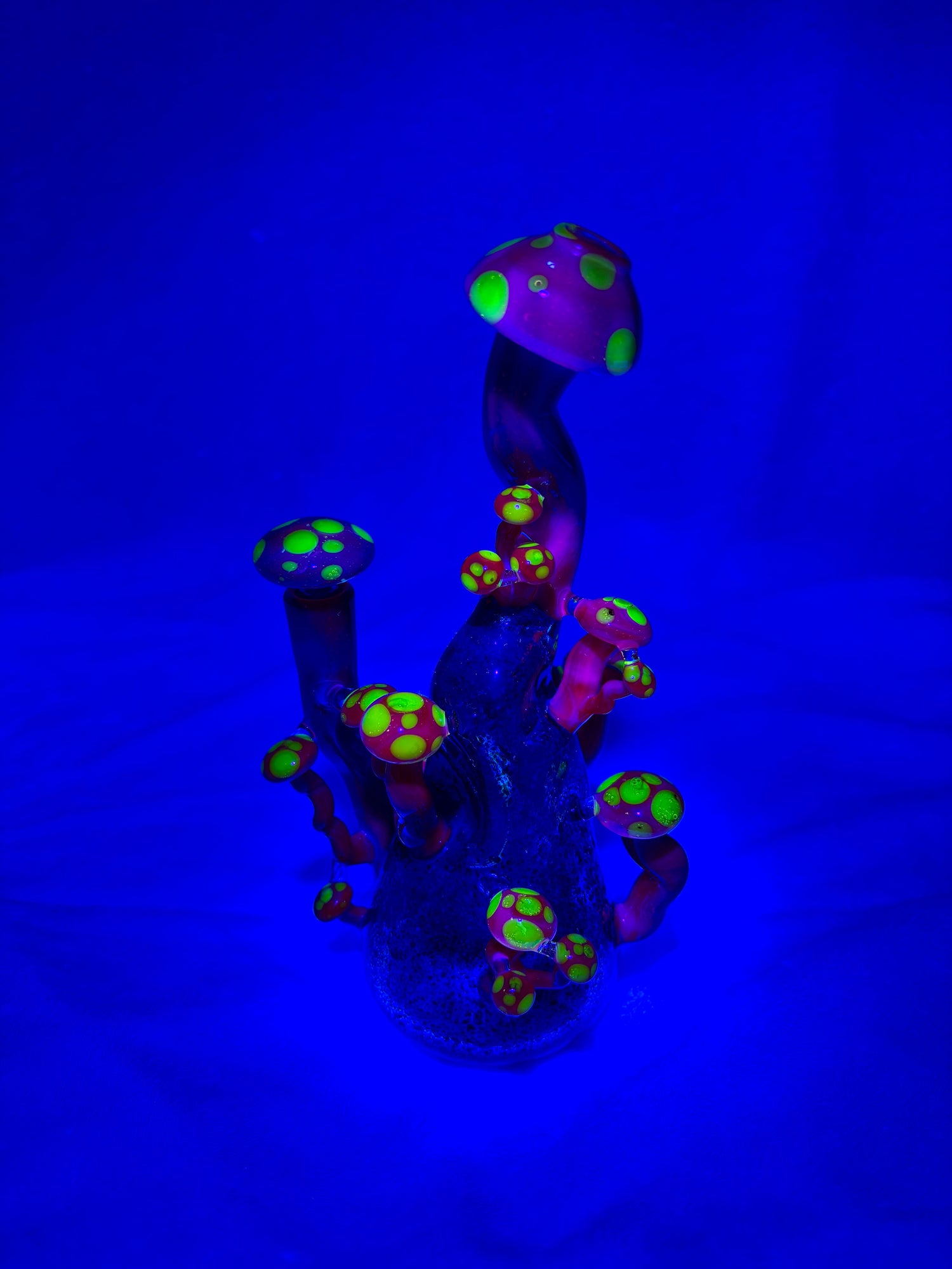 Biohaz Magic Mushrooms