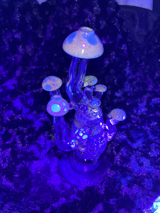 Focus V Carta Wet Top - Clear Mushroom (UV)