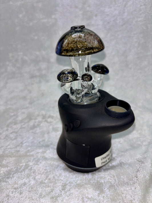 Focus V Carta Dry Top - Clear Mushroom (UV)