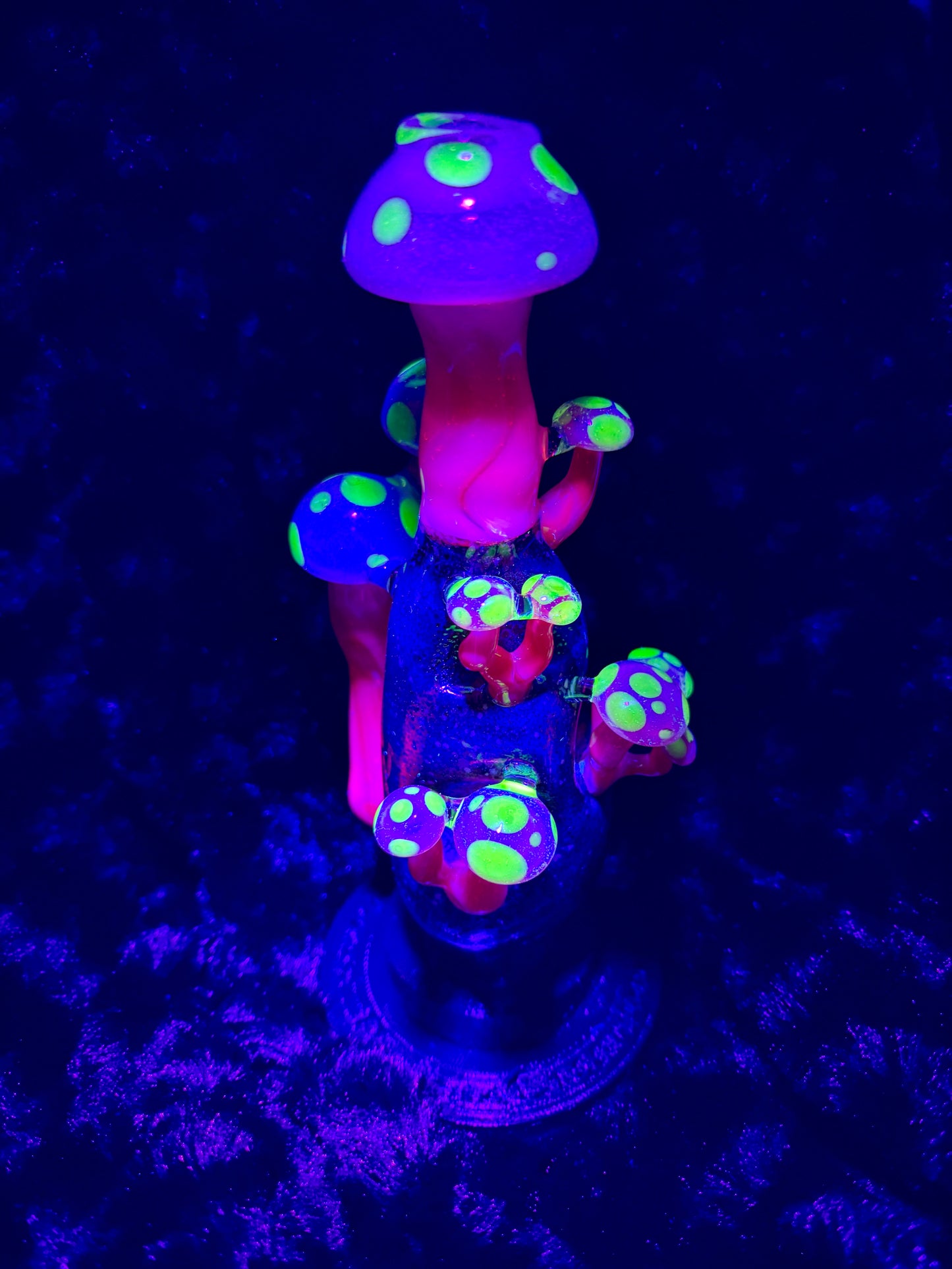 Focus V Carta Wet Top - Full Color Mushroom (UV)